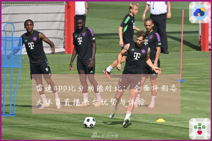 雷速app比分功能对比：全面评测各大体育直播平台优势与体验