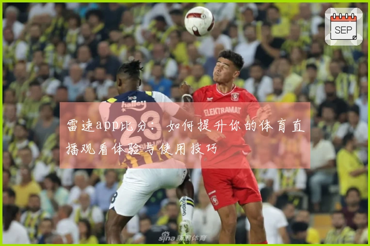 雷速app比分：如何提升你的体育直播观看体验与使用技巧