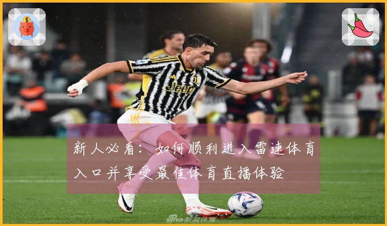 新人必看：如何顺利进入雷速体育入口并享受最佳体育直播体验