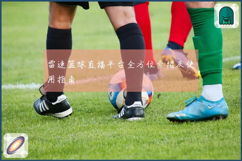 雷速篮球直播平台全方位介绍及使用指南